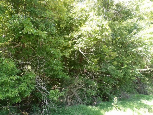 0 Highway 13 South , Waverly, TN 37185