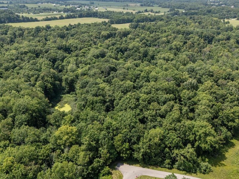 0 Carlingford Drive , Unit Lot 3, Granville, OH 43023 Photo 13