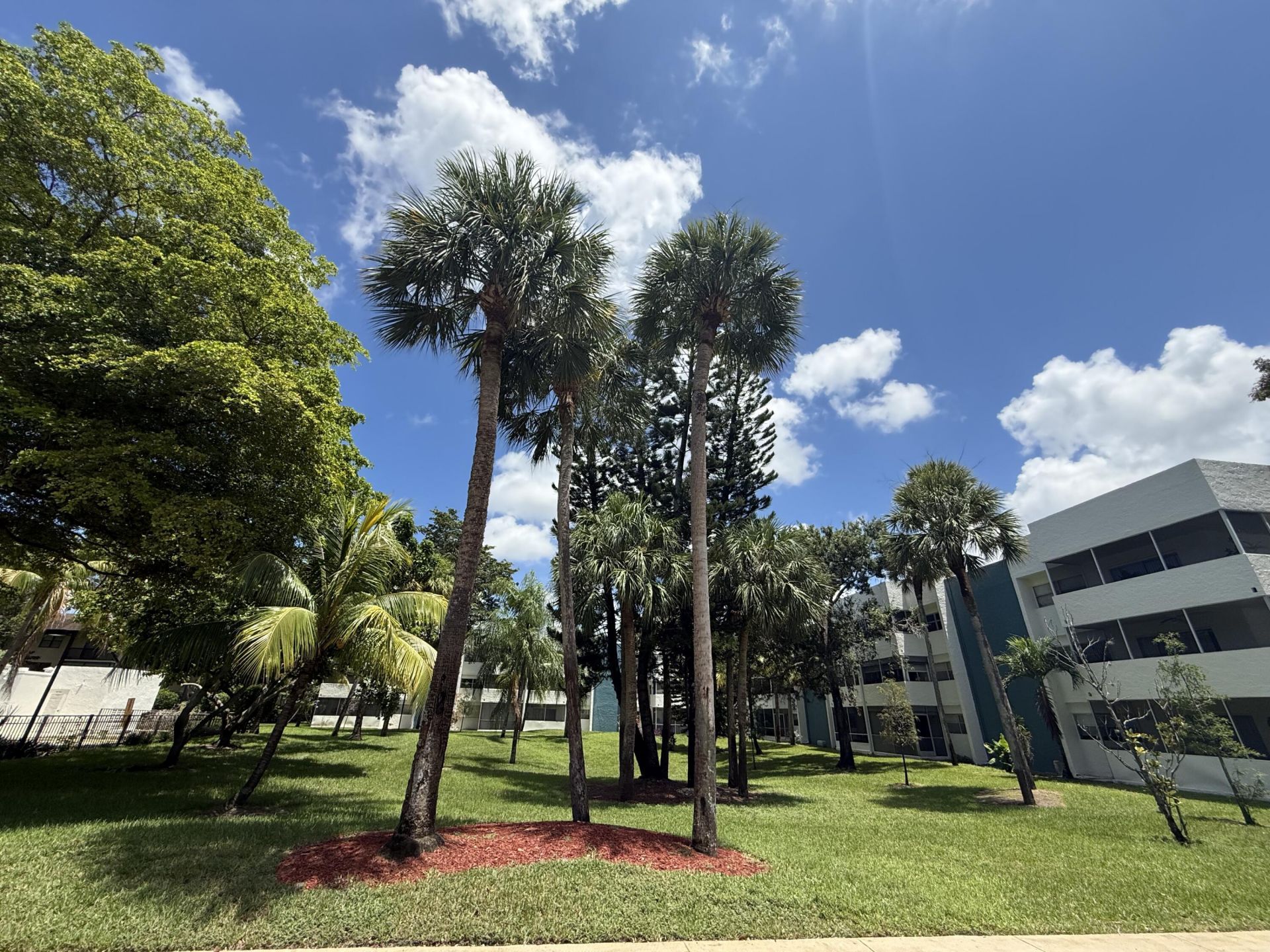 5155 E Sabal Palm Boulevard, Unit 209, Tamarac, FL 33319 Photo