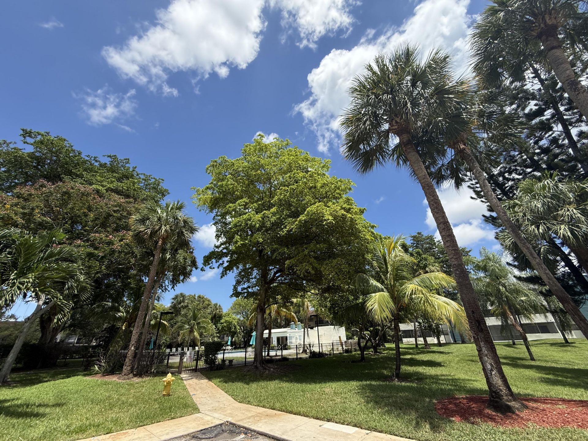 5155 E Sabal Palm Boulevard, Unit 209, Tamarac, FL 33319 Photo