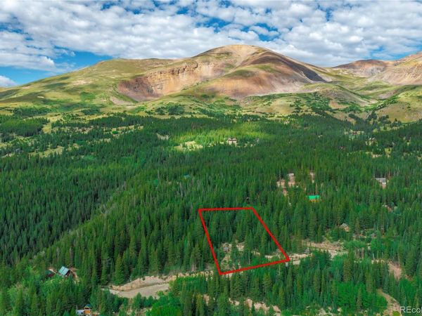 1062 Roberts Road , Alma, CO 80420