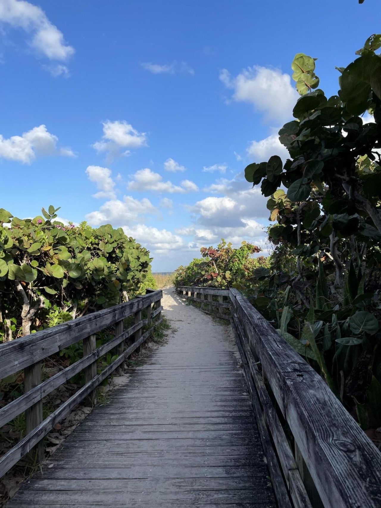 1251 Sugar Sands Boulevard, Unit 124, Singer Island, FL 33404 Photo