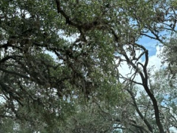 LOT 43 Pr 2535, Mico, TX 78056