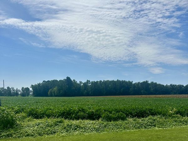 2645 Braswell Road, Chadbourn, NC 28431