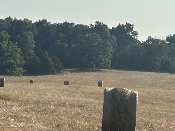 TBD S Corinth Roads , Ash Flat, AR 72513