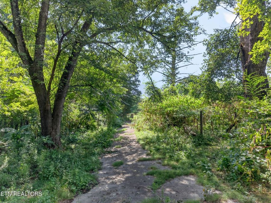 Property Image 35