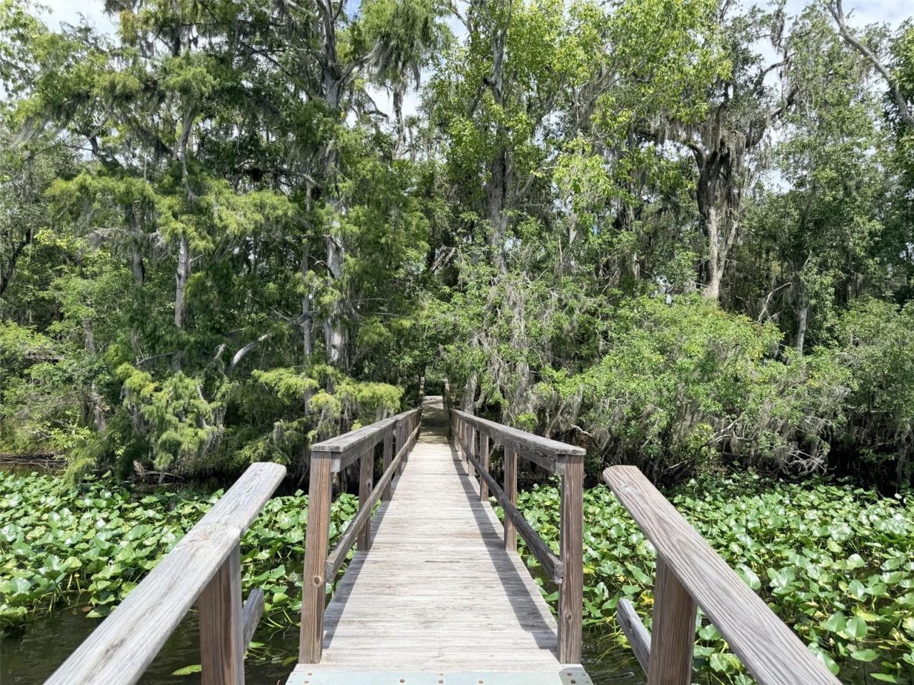 1957 SE 477 Avenue , Old Town, FL 32680 Photo