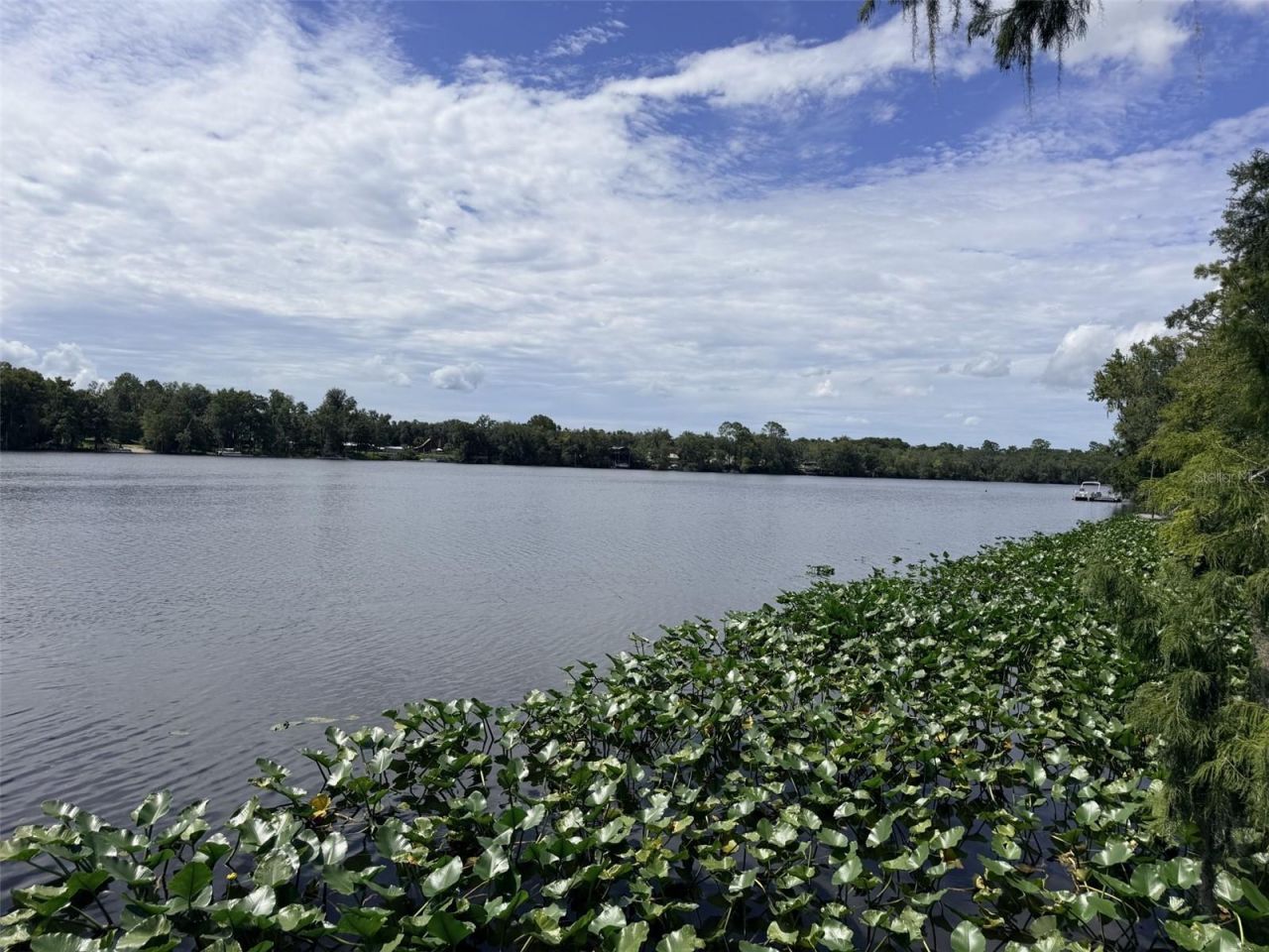 1957 SE 477 Avenue , Old Town, FL 32680 Photo
