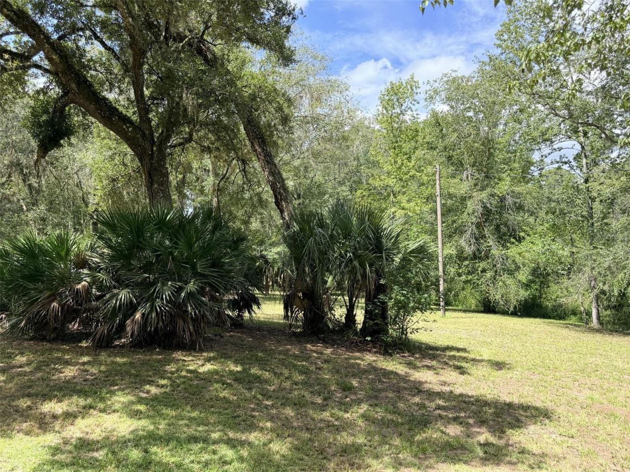 1957 SE 477 Avenue , Old Town, FL 32680 Photo