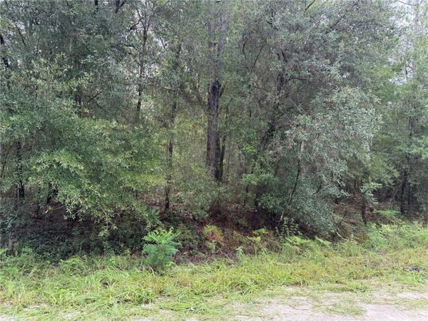 tbd SW 125TH TERRACE , DUNNELLON, FL 34432