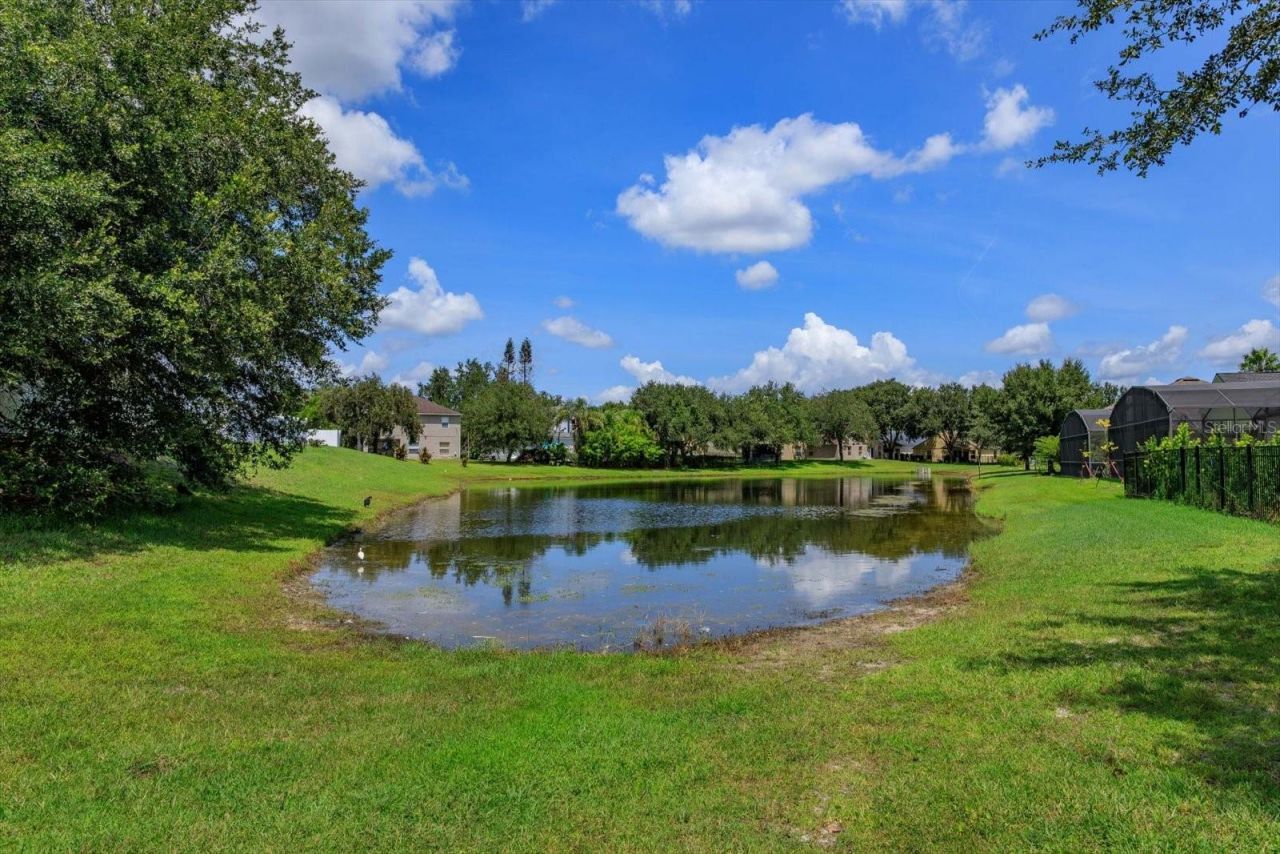 4338 Northern Dancer Way, Orlando, FL 32826 Photo