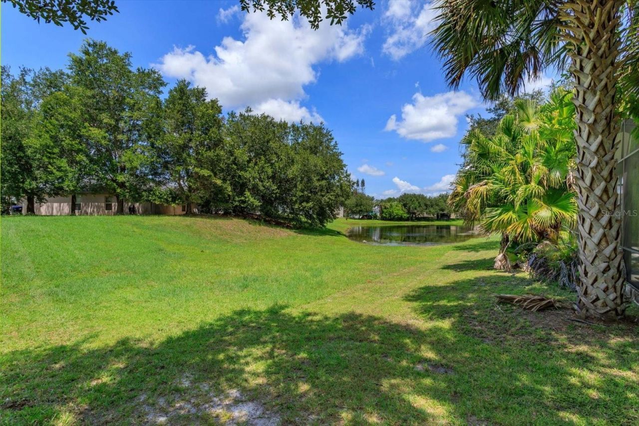 4338 Northern Dancer Way, Orlando, FL 32826 Photo