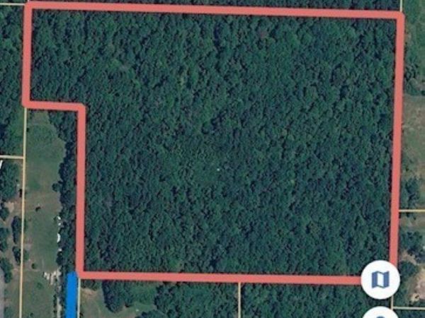 TBD Echols Road, Arkadelphia, AR 71923