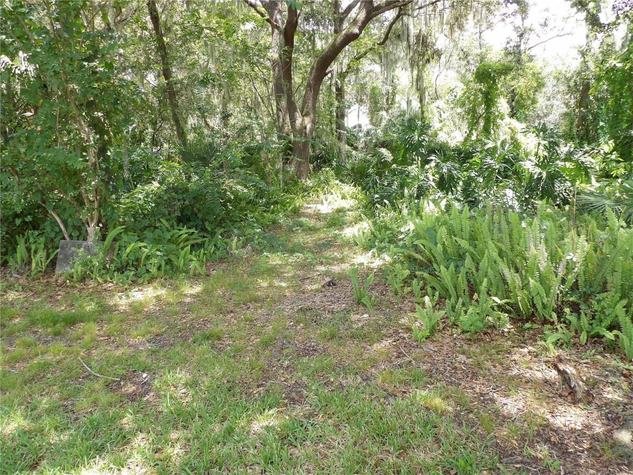 6282 Forestwood Drive E, Lakeland, FL 33811 Photo