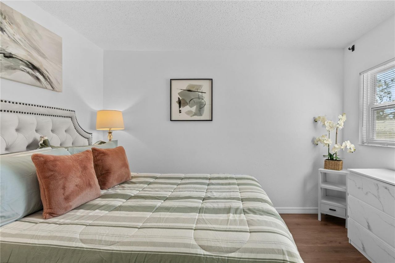 804 13th Avenue S, Saint Petersburg, FL 33701 Photo