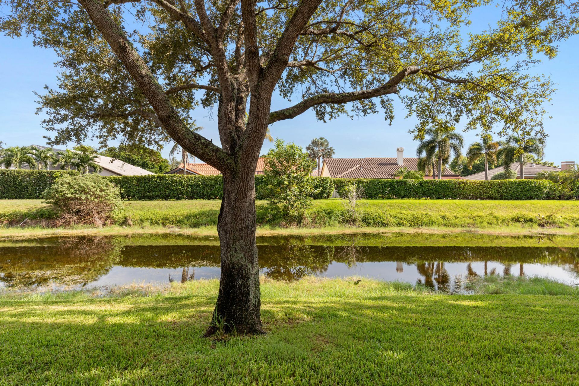 11912 Royal Palm Boulevard, Coral Springs, FL 33065 Photo