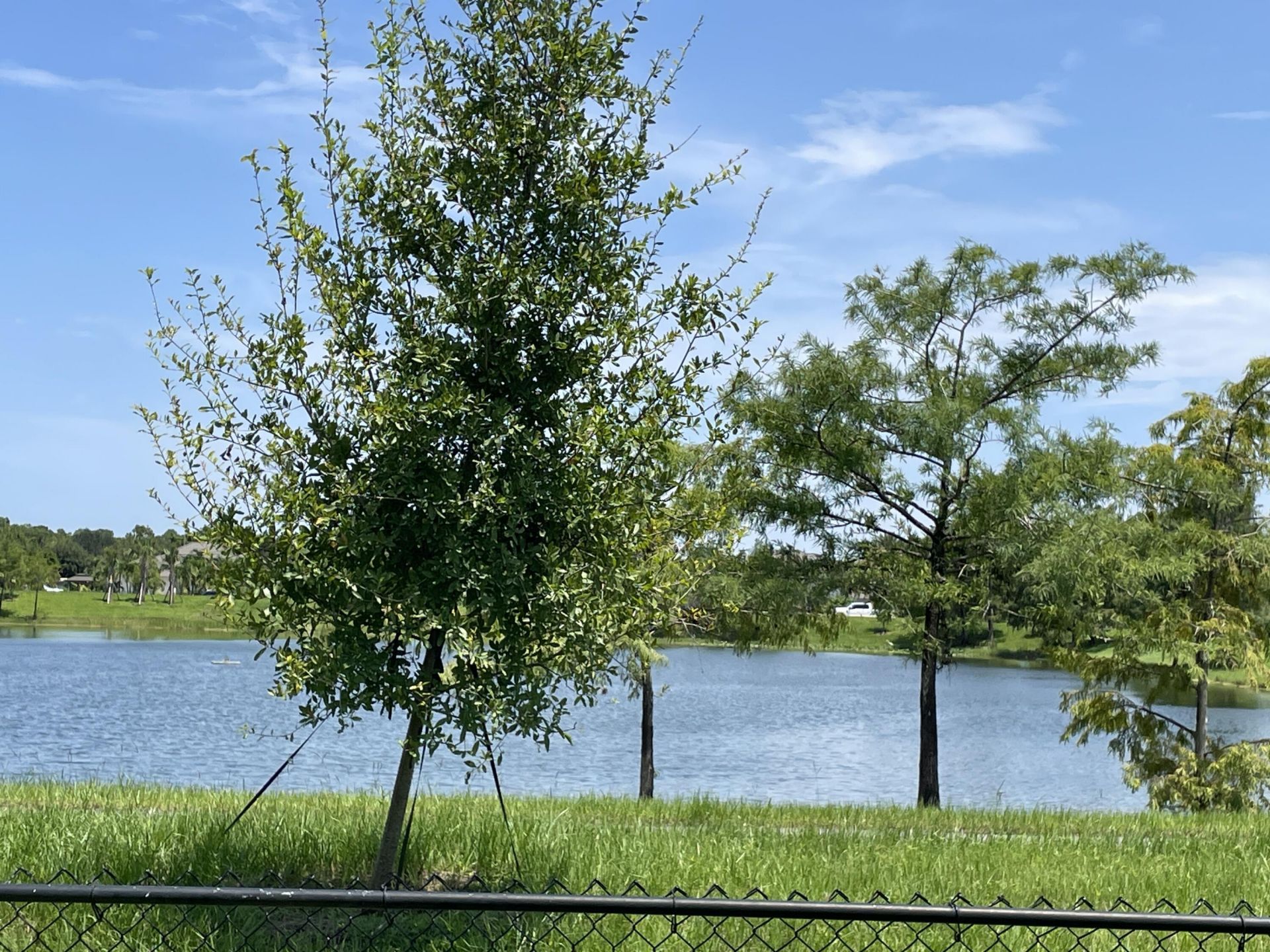 12625 88th Place N, The Acreage, FL 33412 Photo