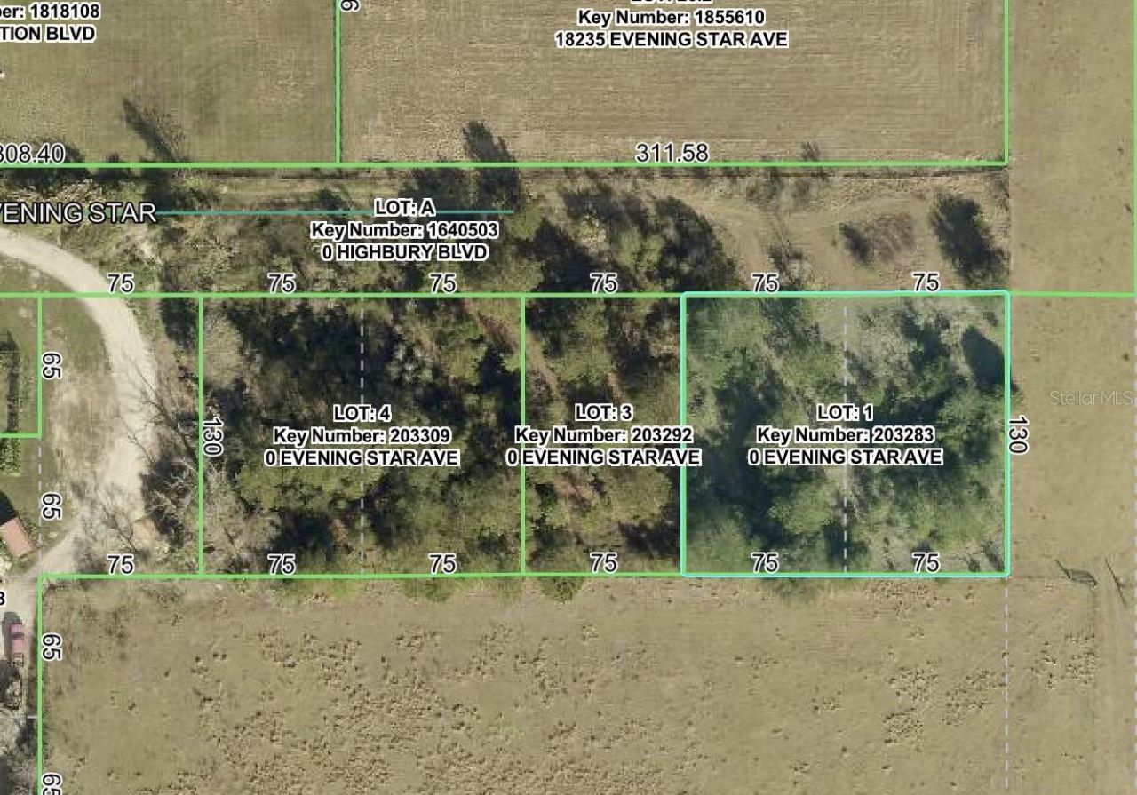 Evening Star Avenue, Brooksville, FL 34604 Main Photo