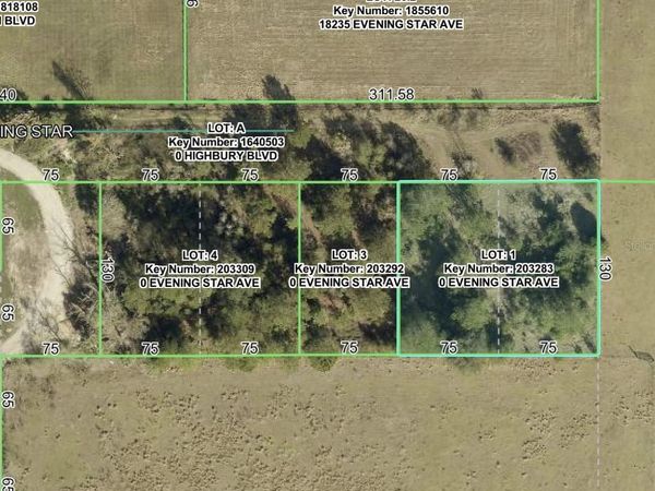 EVENING STAR AVENUE, BROOKSVILLE, FL 34604