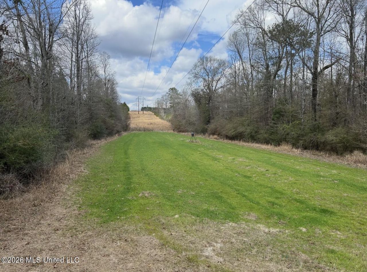 56 Dogwood Drive, Beaumont, MS 39423 Main Photo