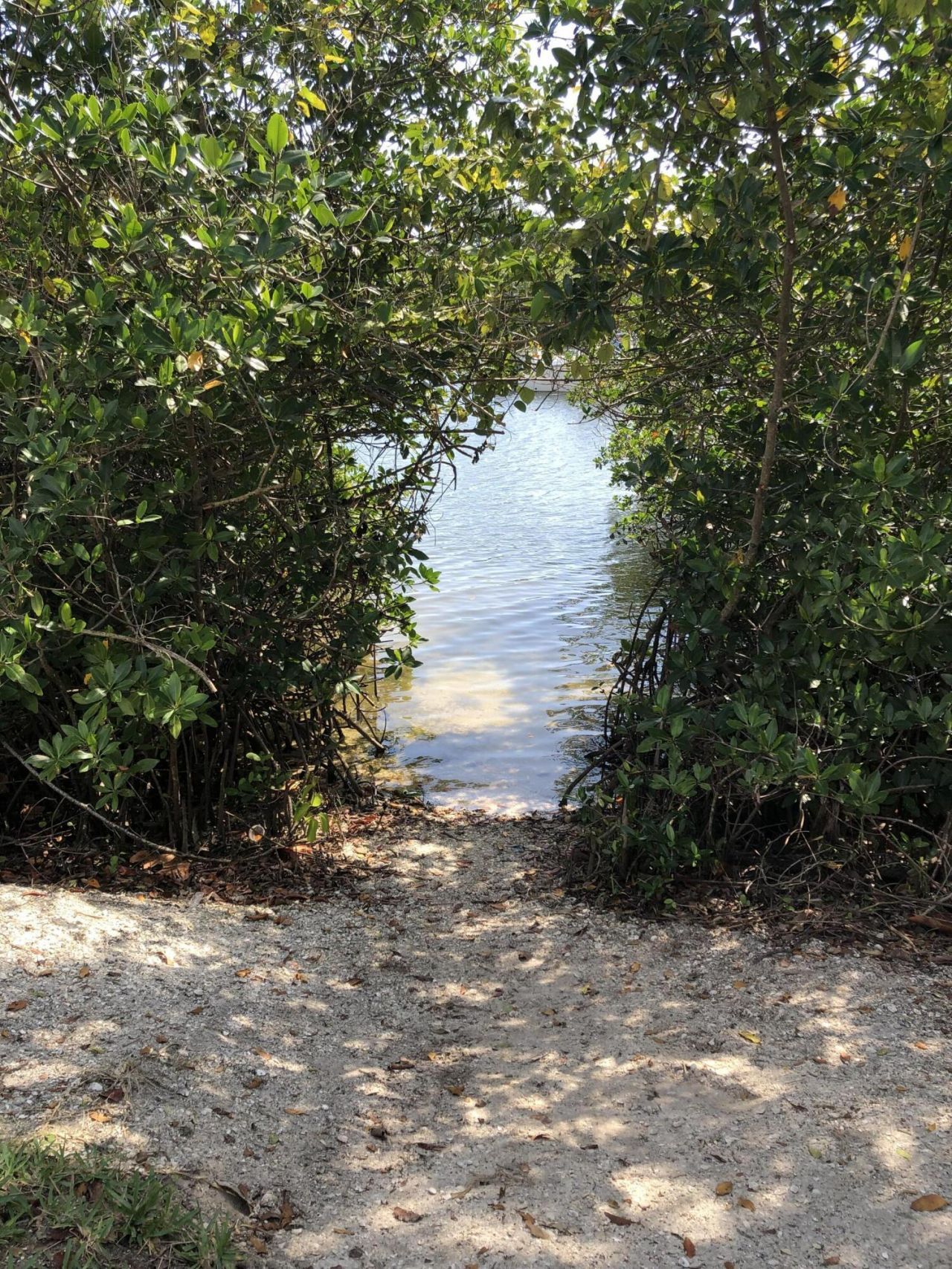 1605 S Us Highway 1, Unit E204, Jupiter, FL 33477 Photo
