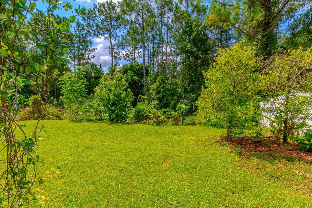 10462 Willow Ridge Loop , Orlando, FL 32825 Photo