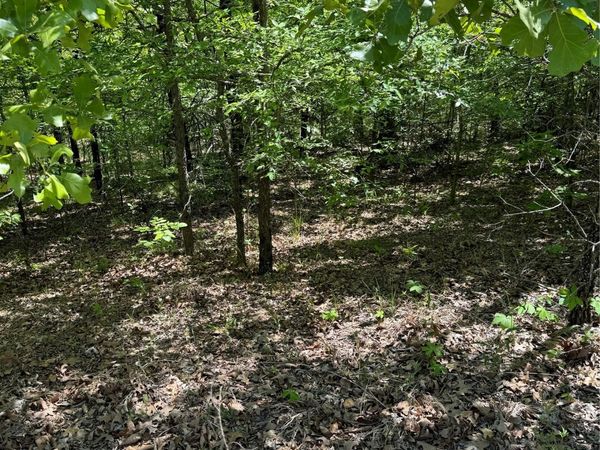 161718 S 4531 Road, Vian, OK 74962