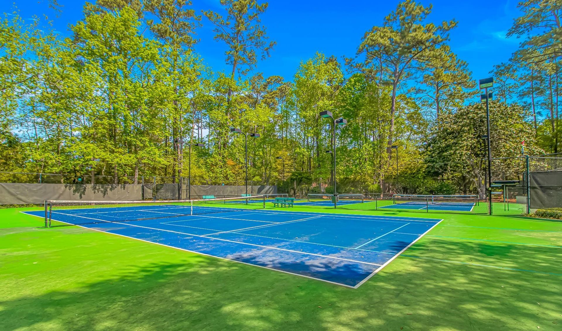 5012 Bucks Bluff Dr. Photo 48