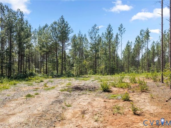 0 Algerene Rd , Drakes Branch, VA 23937