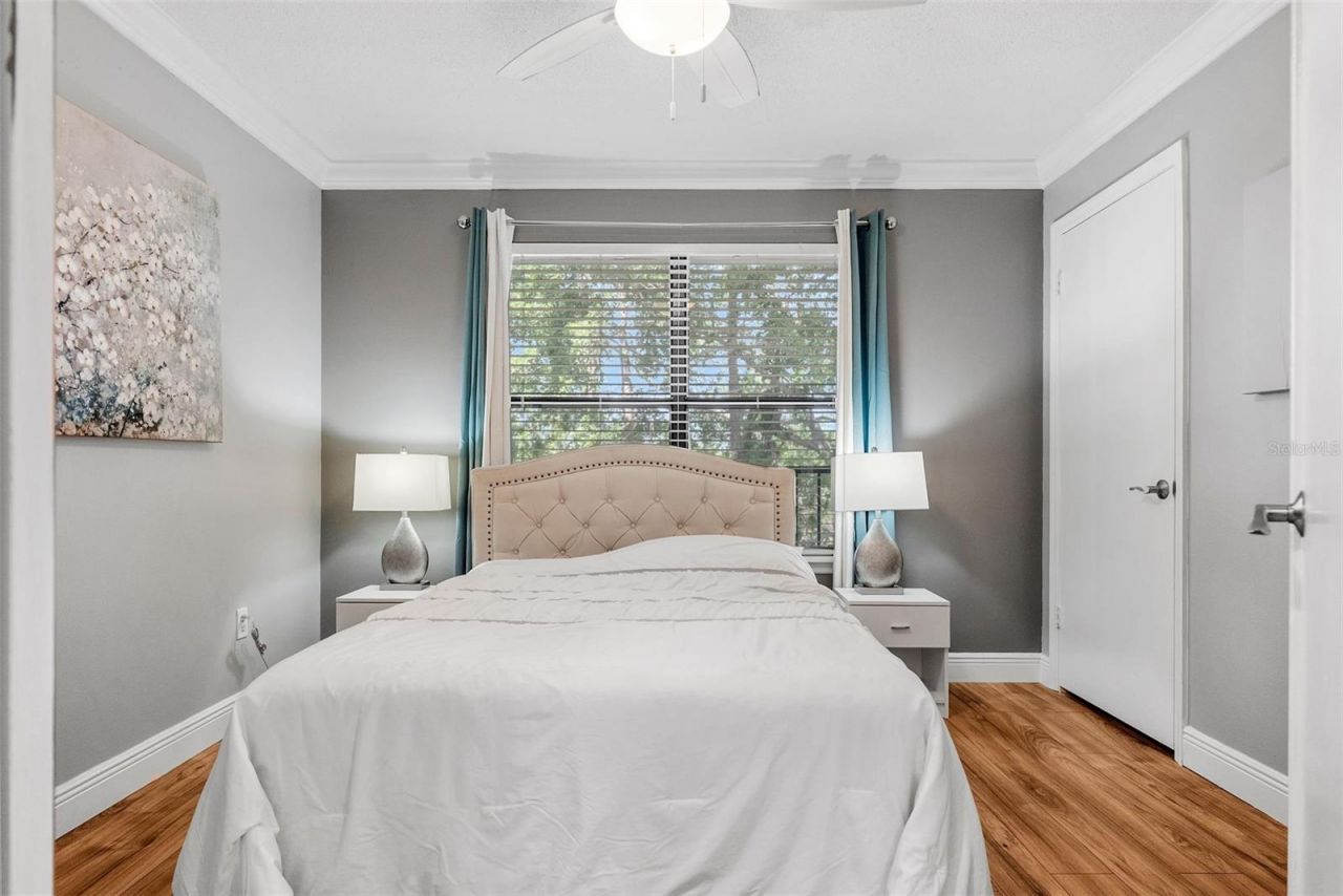 11901 4th Street N, Unit 8207, Saint Petersburg, FL 33716 Photo