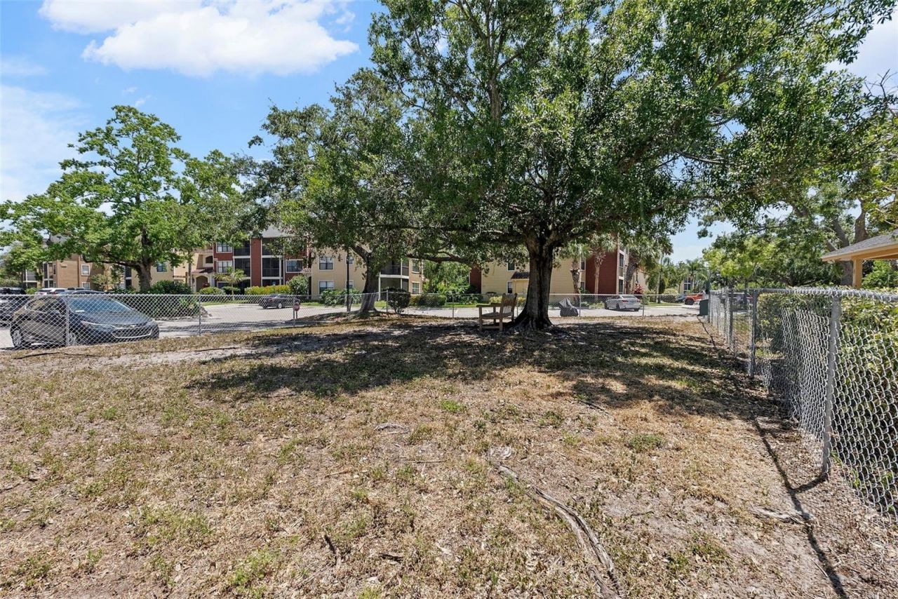 11901 4th Street N, Unit 8207, Saint Petersburg, FL 33716 Photo