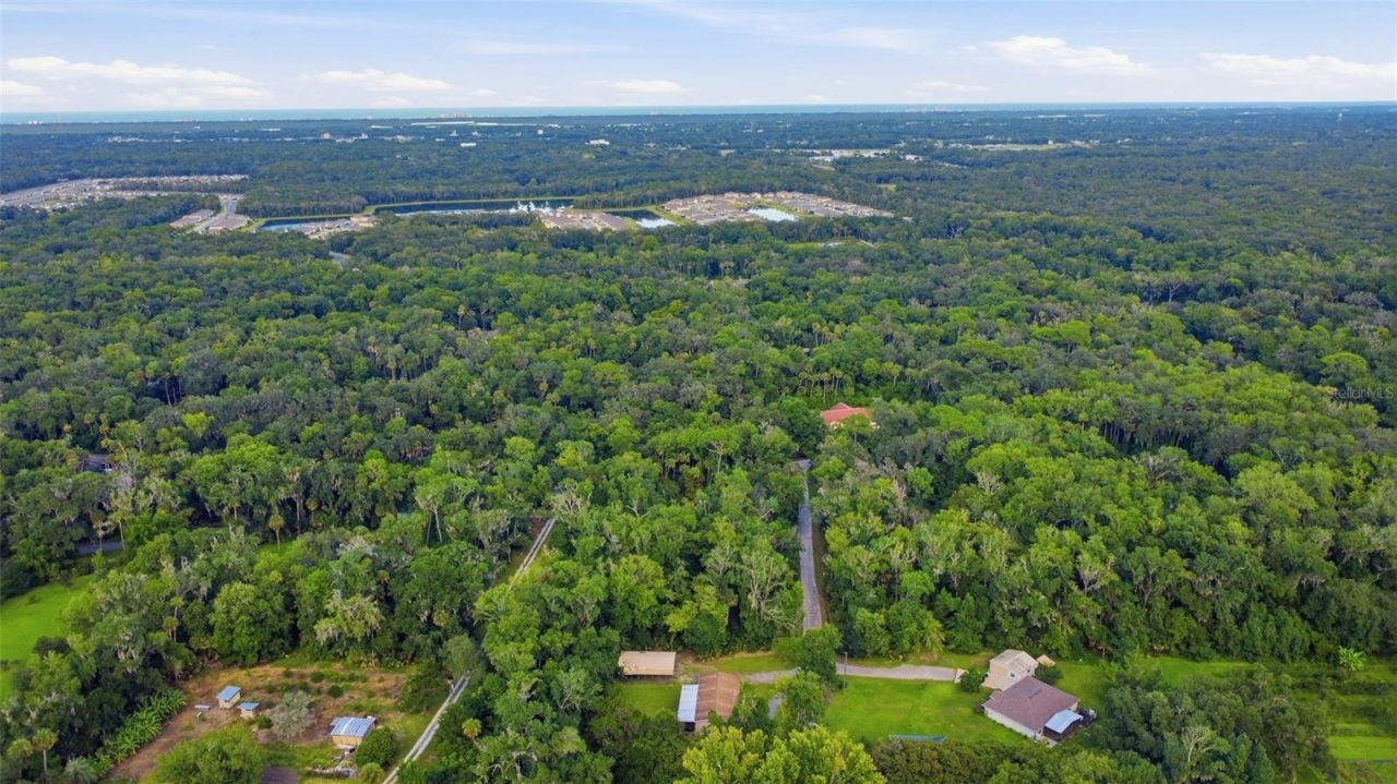 2050 Minorca Road , New Smyrna Beach, FL 32168 Photo