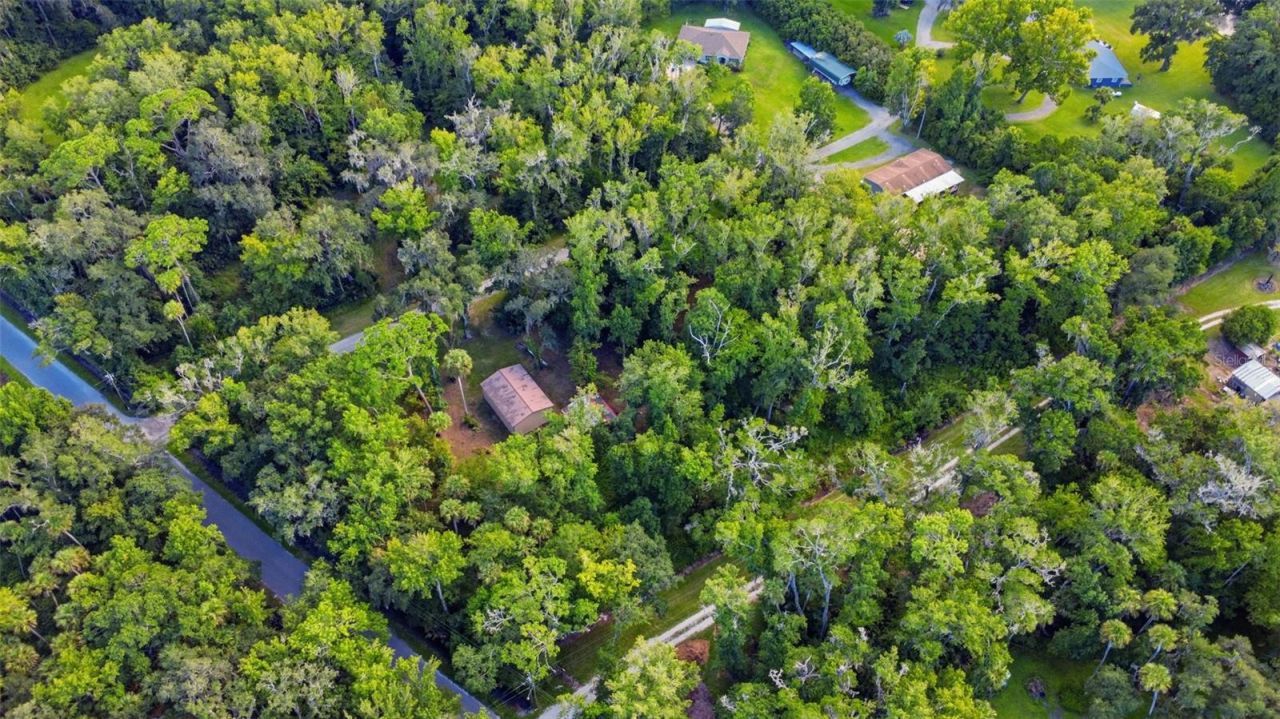 2050 Minorca Road , New Smyrna Beach, FL 32168 Photo