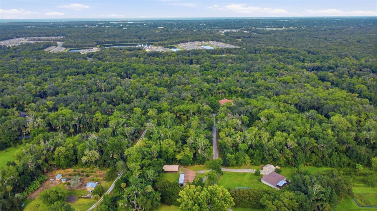 2050 Minorca Road , New Smyrna Beach, FL 32168 Photo