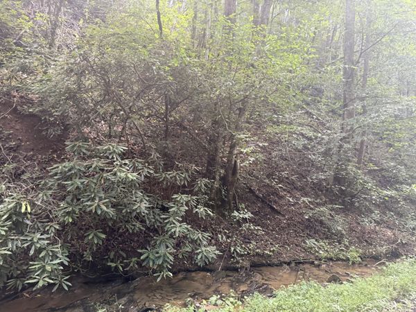 4264 Blalock Hollow Road, Pigeon Forge, TN 37876
