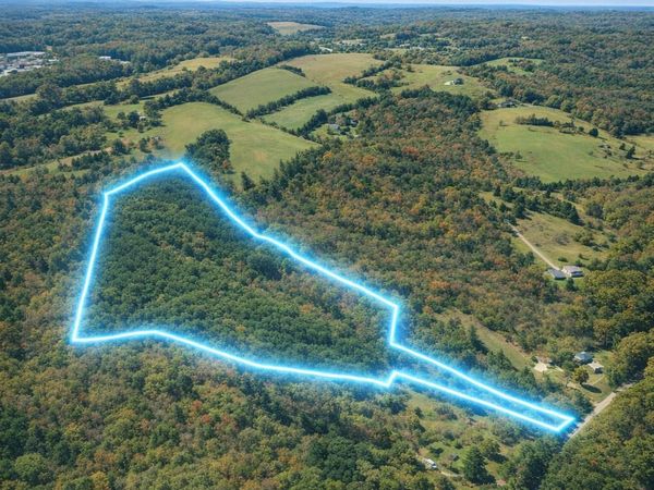 Black Oak Ridge Rd, Dayton, TN 37321