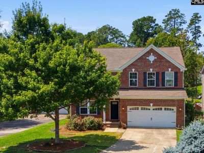 124 palm Street, Chapin, SC 29036
