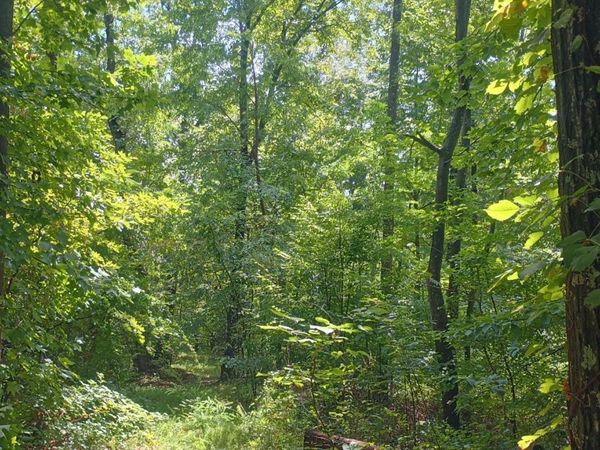 0 Battery Hill Lane, Tyro, VA 22976