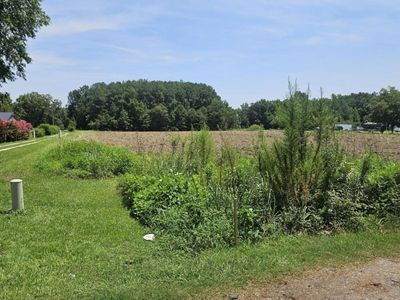 0 Wolfman Lane, Saint Stephen, SC 29479