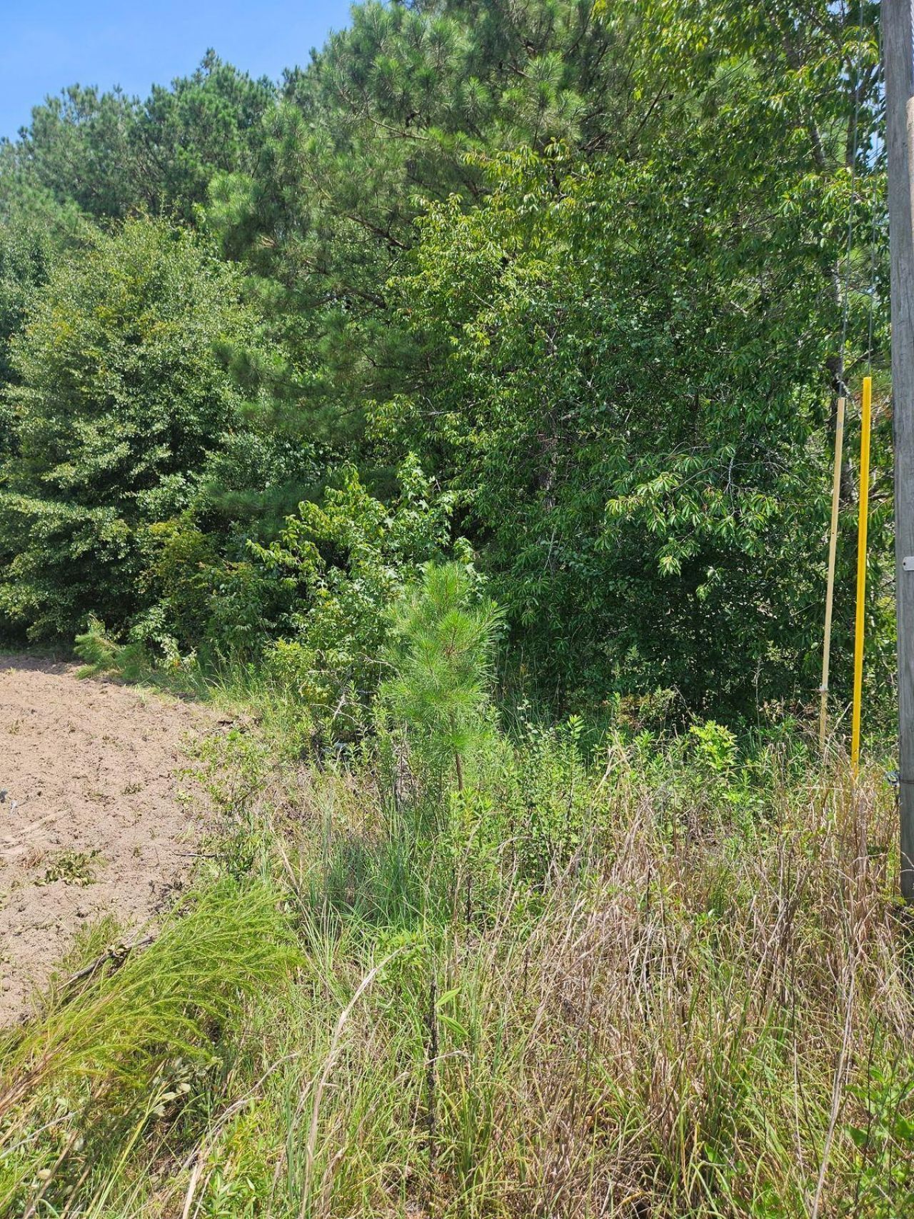 0 Wolfman Lane Photo 2