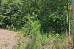 0 Wolfman Lane photo 4