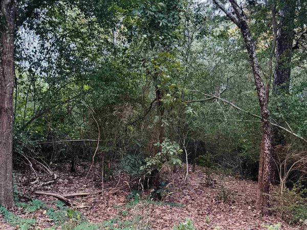 Lot 26 Lee Summit Dr., Little Rock, AR 72202