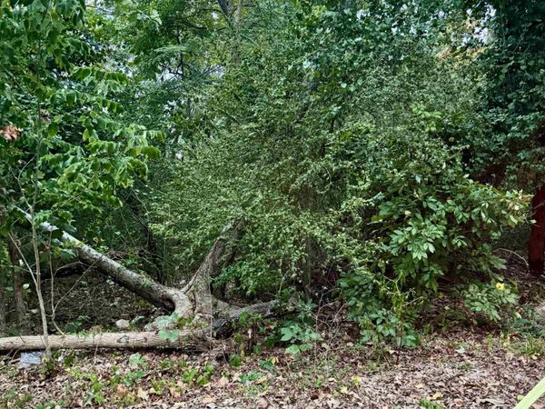 Lot 26 Lee Summit Dr., Little Rock, AR 72202