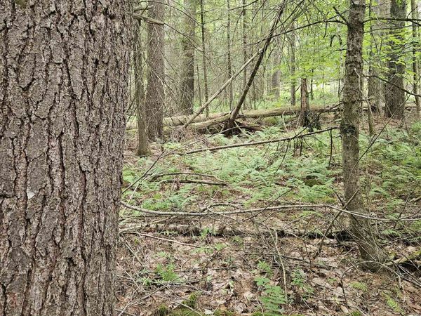 00 Straford Drive, Haverhill, NH 03785