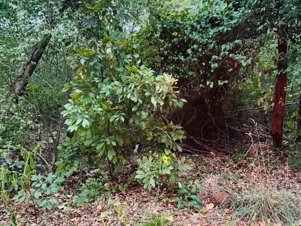 Lot 24 Lee Summit Dr., Little Rock, AR 72202