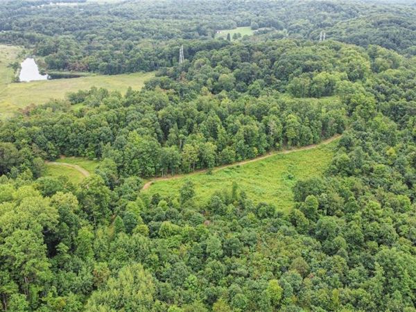 43998 Hammond School Road, Wellsville, OH 43968