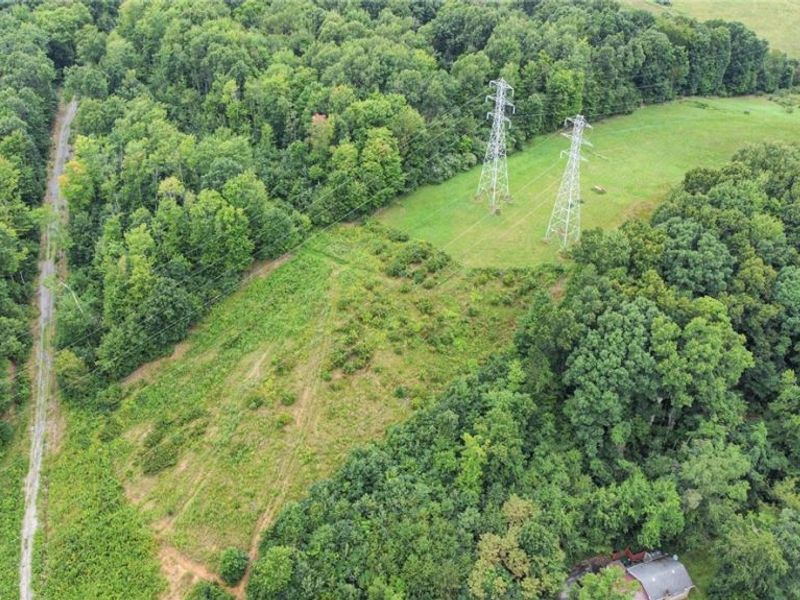 43998 Hammond School Road, Wellsville, OH 43968 Photo 6