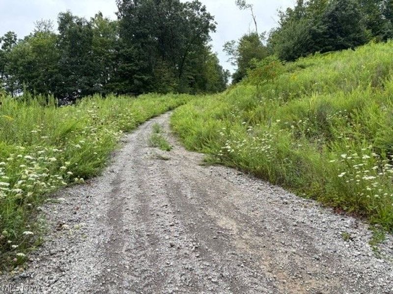 43998 Hammond School Road, Wellsville, OH 43968 Photo 7