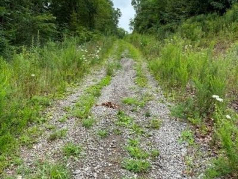 43998 Hammond School Road, Wellsville, OH 43968 Photo 9