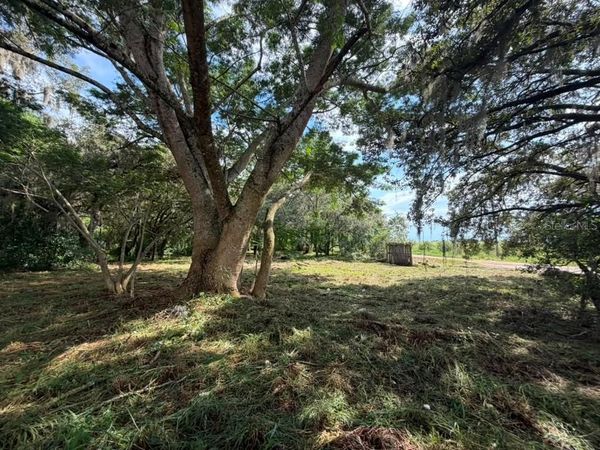 8156 DOGYARD ROAD , LAKE WALES, FL 33898